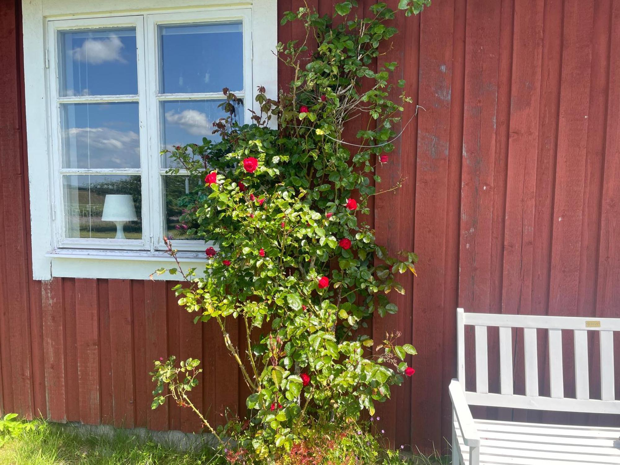 Kapelludden Oestra Oeland Vila Köpingsvik Exterior foto